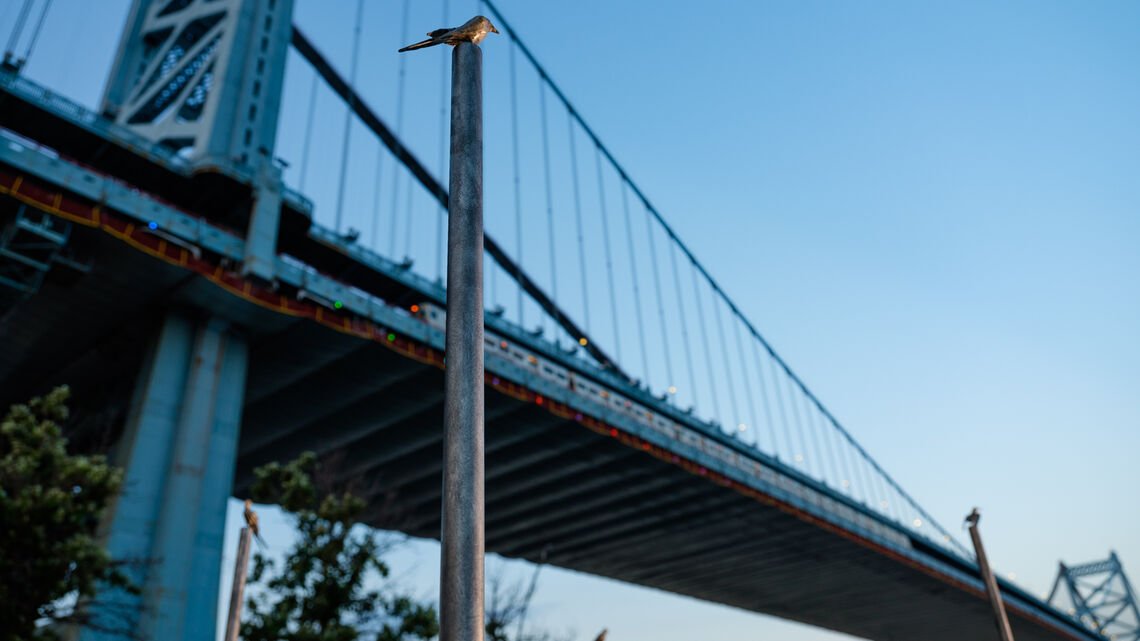 Bronze sculpture of small bird set against backdrop of Ben Franklin bridge